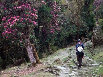 Tamang Heritage Trail and Langtang Trek